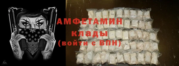 гидра Бородино