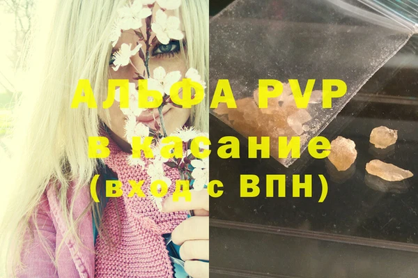 гидра Бородино