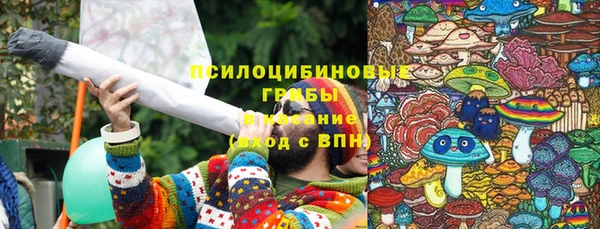 СК Бронницы