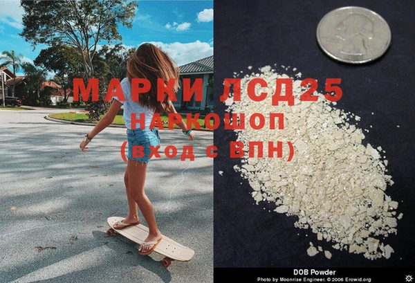 СК Бронницы