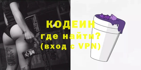 СК Бронницы
