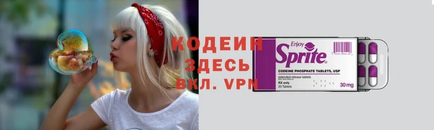 СК Бронницы