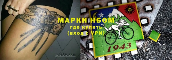 гидра Бородино