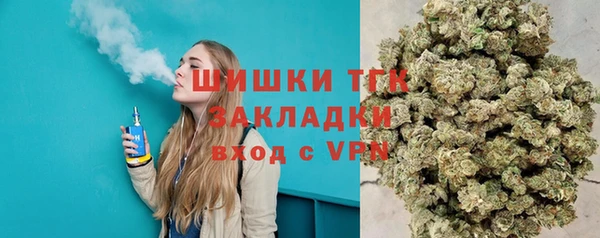 СК Бронницы
