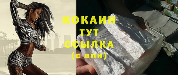гидра Бородино