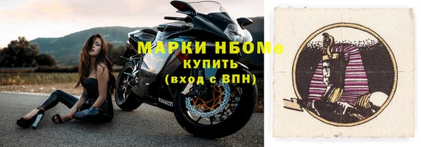 гидра Бородино