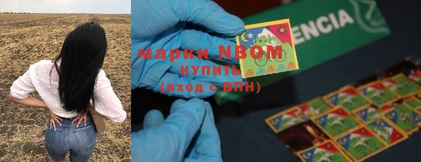 СК Бронницы