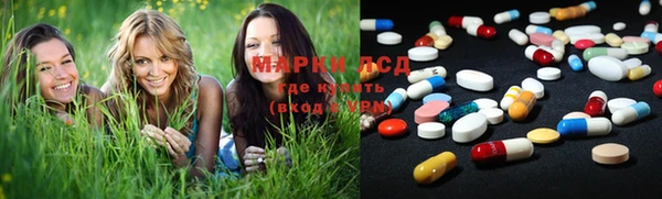 гидра Бородино